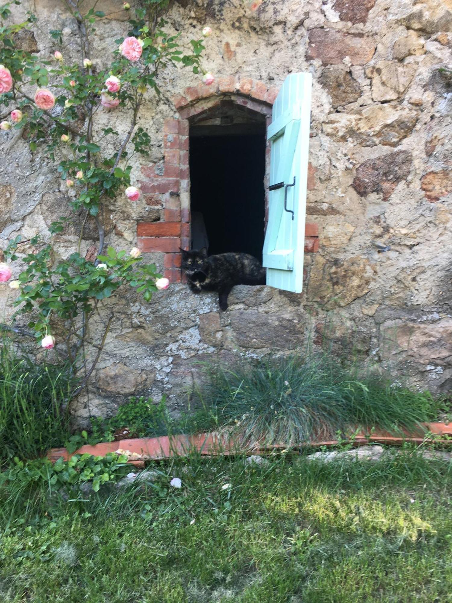 Gites De Gobertier Saint-Alban-d'Ay Экстерьер фото